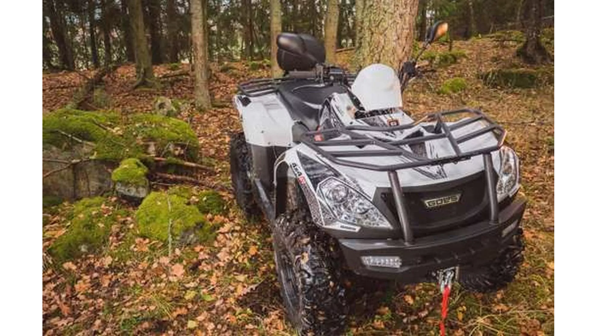 Goes Iron LTD - Image 18 Goes Iron LTD - Image 18