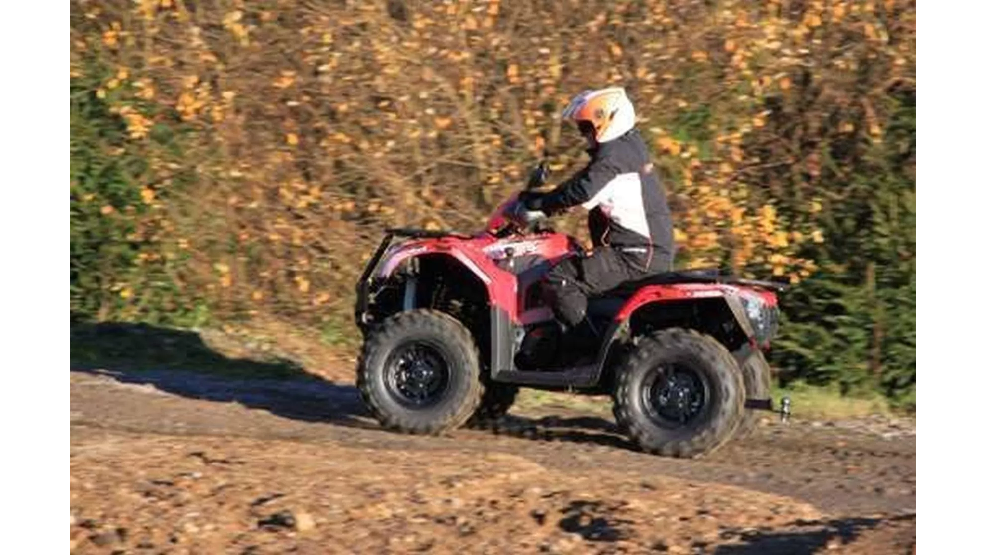 Goes Iron LTD - Image 23 Goes Iron LTD - Image 23