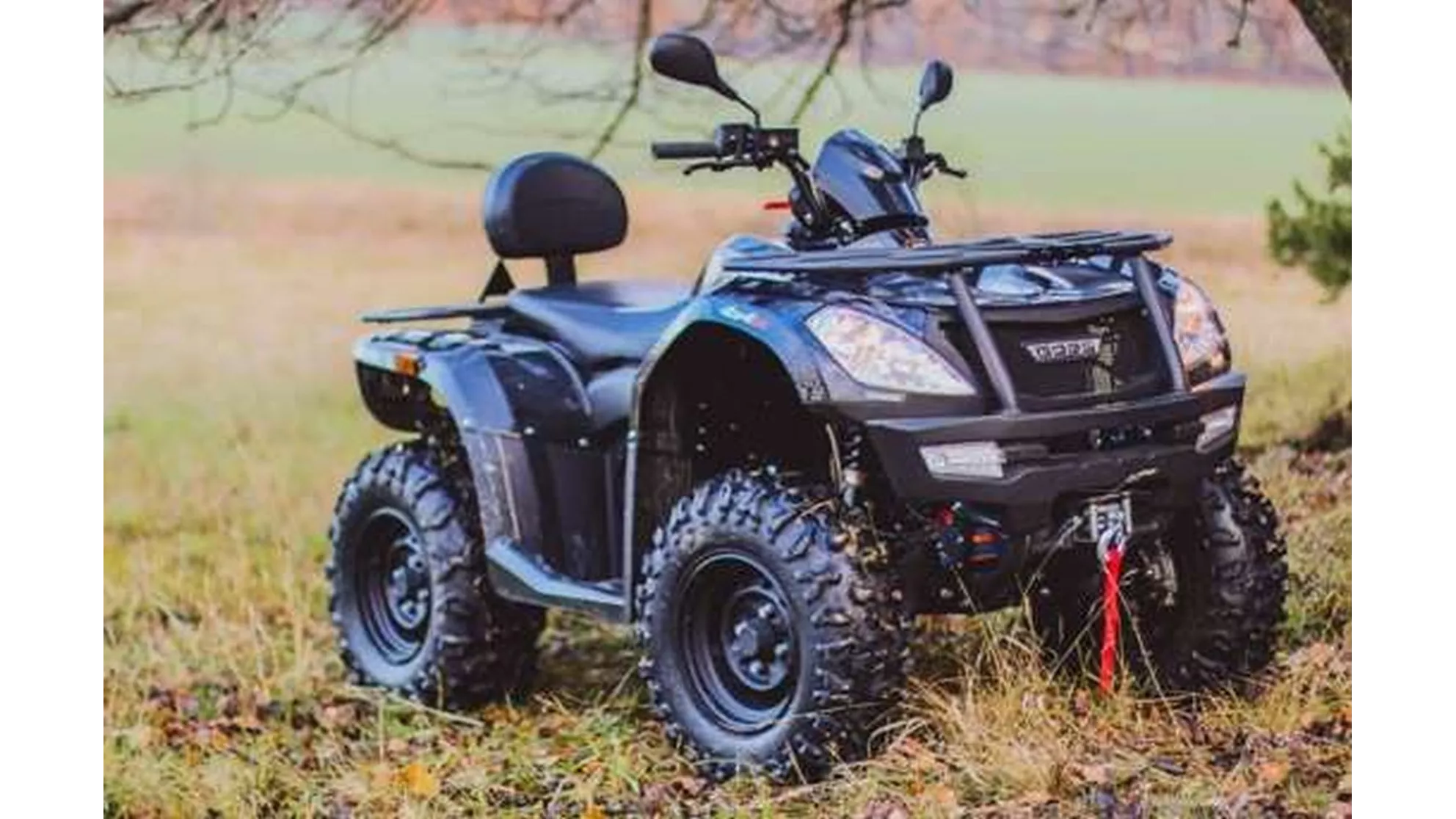 Goes Iron - Image 18 Goes Iron - Image 18