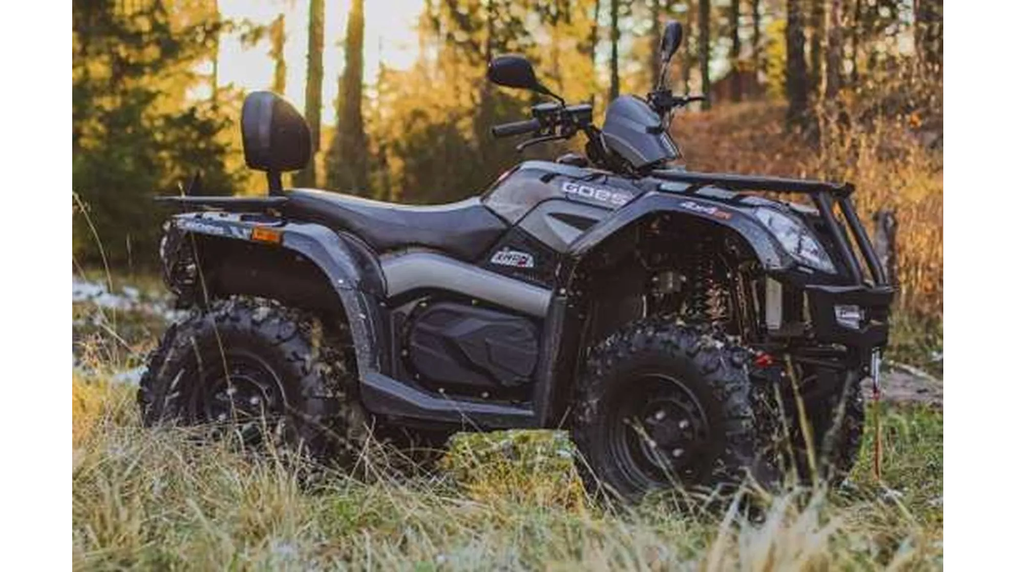 Goes Iron - Image 19 Goes Iron - Image 19