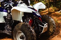 Suzuki QuadSport Z90 2017 - Bild 9