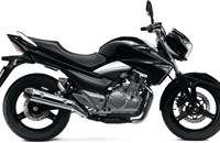 Suzuki GW250 Inazuma 2017 - Bild 1