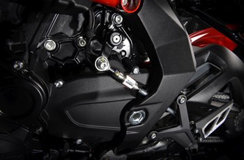 MV Agusta Dragster 800 RC 2017 - Bild 19