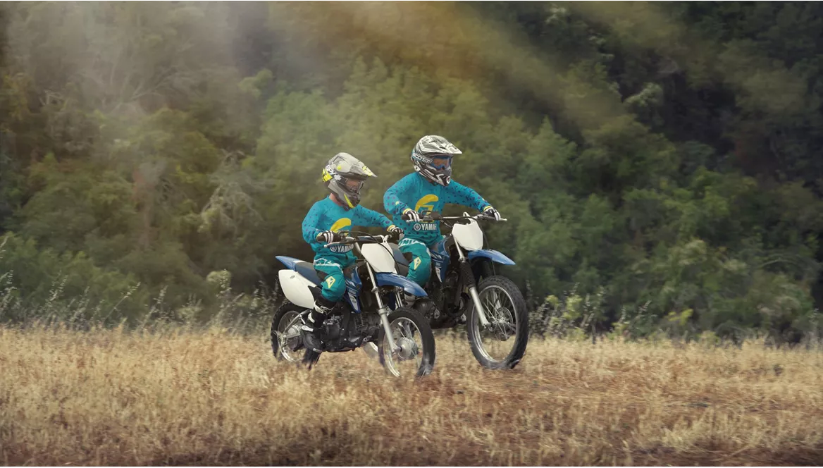 Yamaha TT-R110E 2017 Yamaha TT-R110E 2017