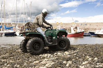 Yamaha Grizzly 350 4WD 2017 - Bild 8 Yamaha Grizzly 350 4WD 2017 - Bild 8