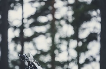 Husqvarna TE 250 2017 - Bild 3