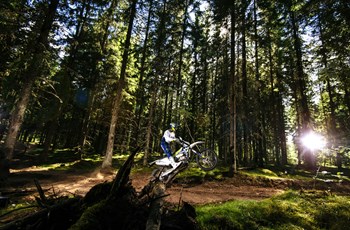 Husqvarna FE 350 2017 - Bild 41 Husqvarna FE 350 2017 - Bild 41