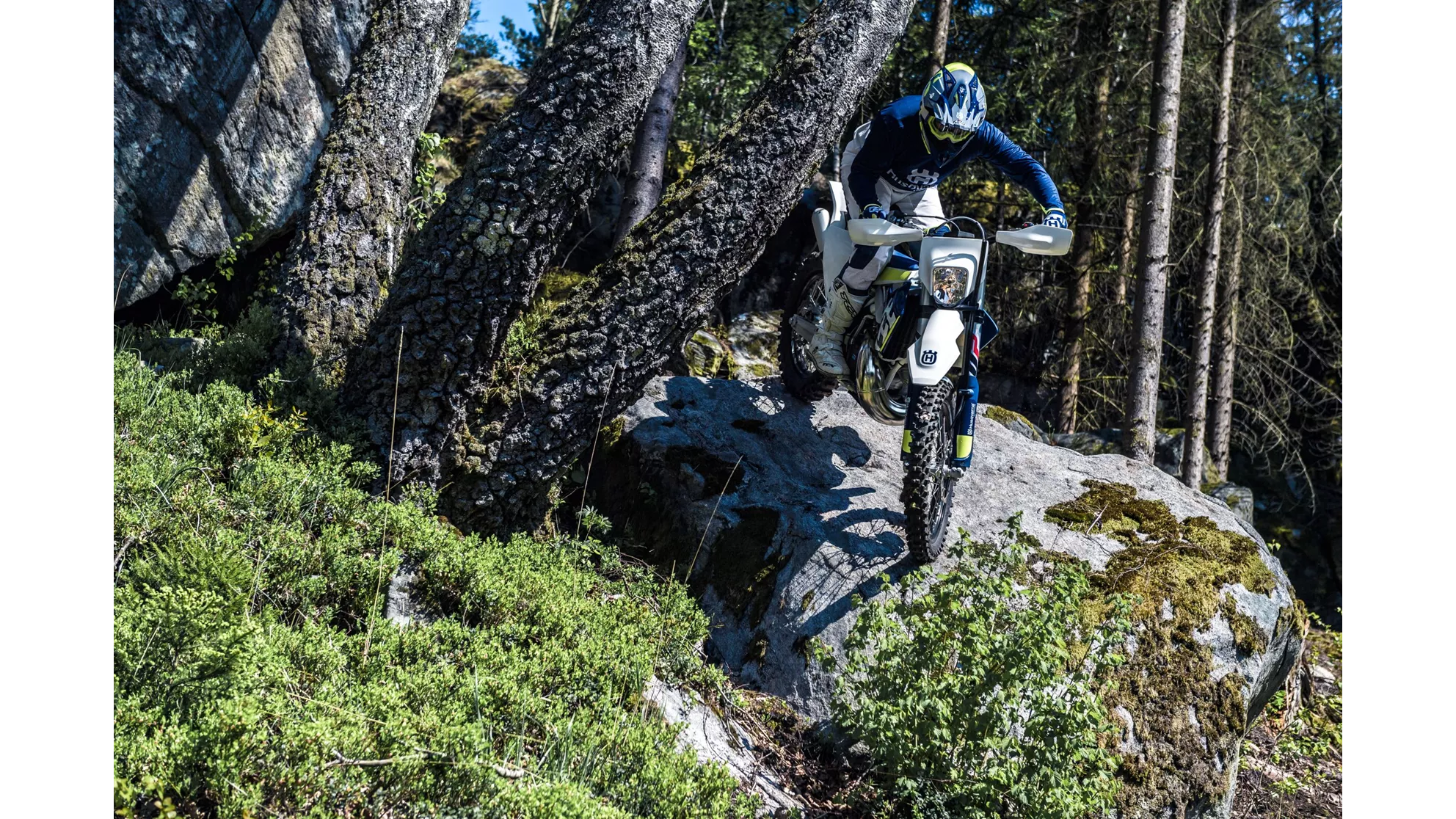 Husqvarna TE 300 - Image 7 Husqvarna TE 300 - Image 7