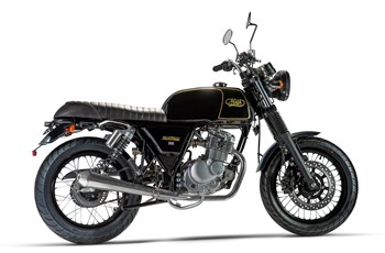 Mash Black Seven 2017 - Bild 2 Mash Black Seven 2017 - Bild 2