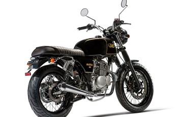 Mash Black Seven 2017 - Bild 4 Mash Black Seven 2017 - Bild 4