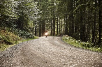 Ducati Scrambler Icon 2017 - Bild 14