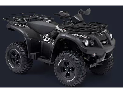 TGB Blade 500 4x4 IRS 2017 TGB Blade 500 4x4 IRS 2017