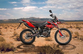 United Motors UM DSR EX 125 2017 - Bild 2