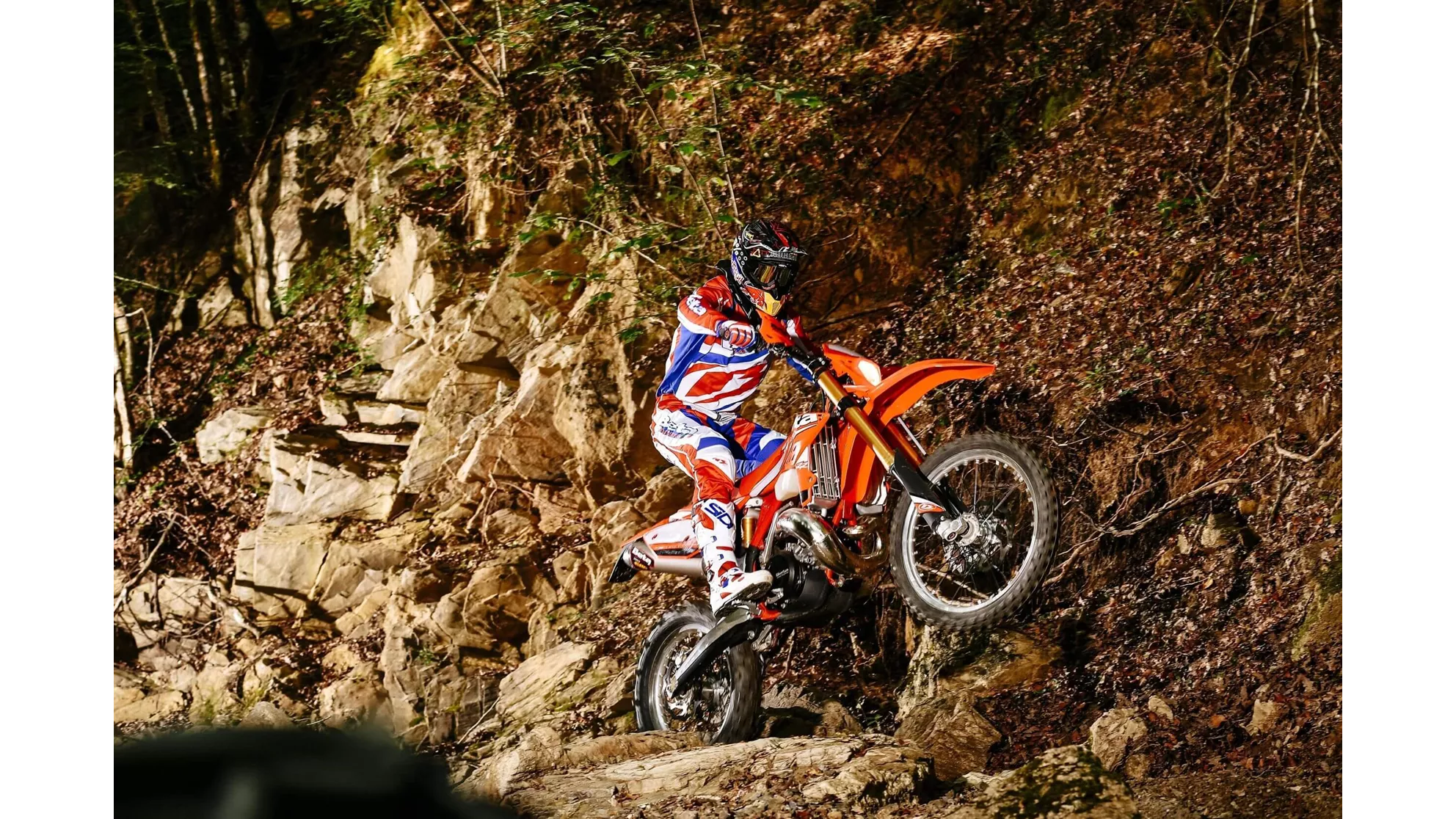 Beta RR 300 2T - Image 3 Beta RR 300 2T - Image 3