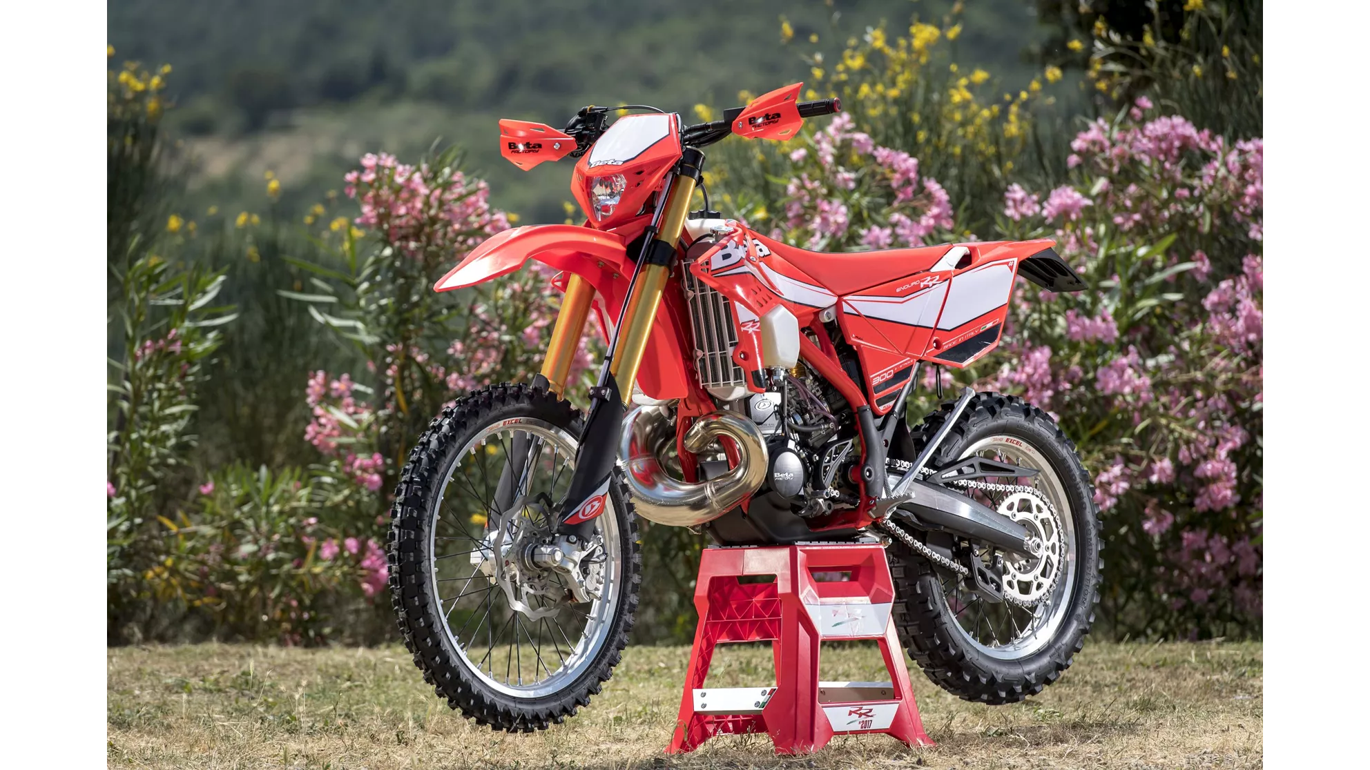 Beta RR 300 2T - Image 6 Beta RR 300 2T - Image 6