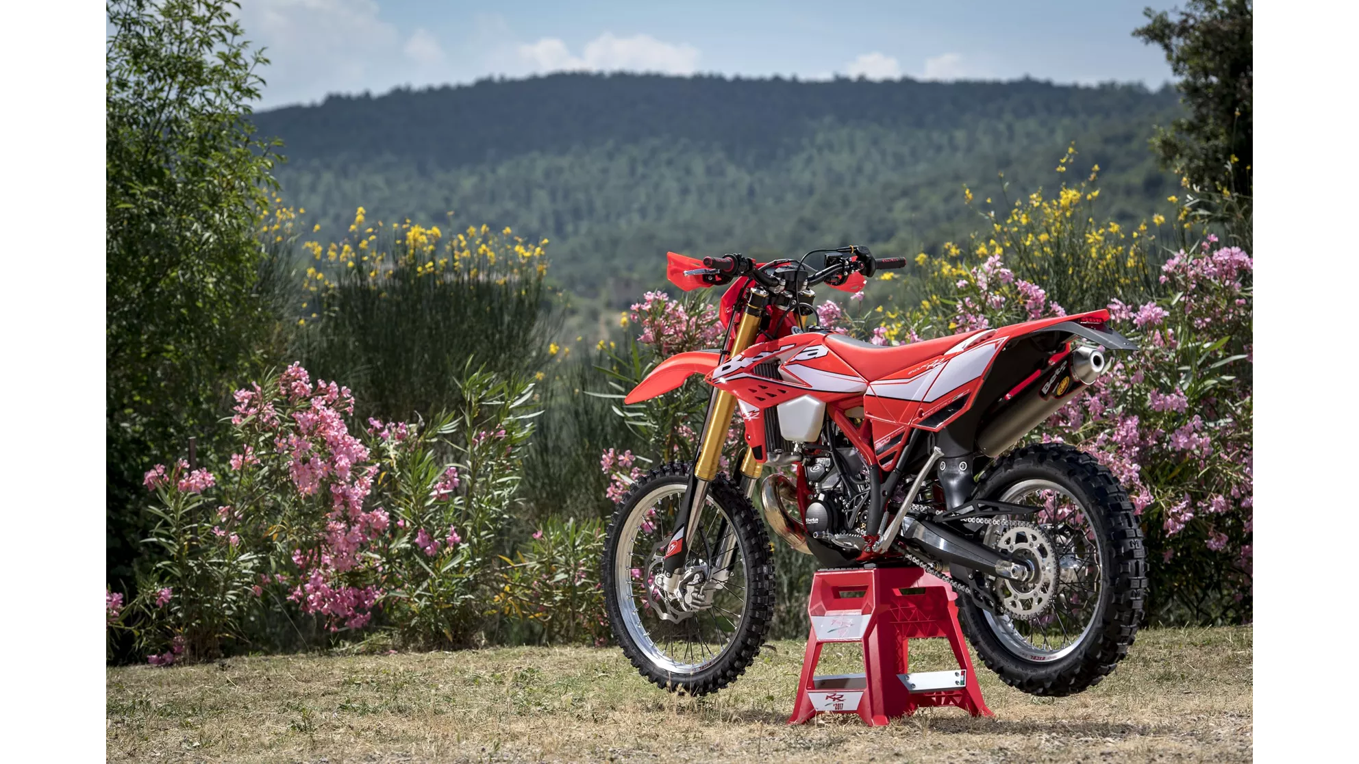 Beta RR 300 2T - Image 7 Beta RR 300 2T - Image 7