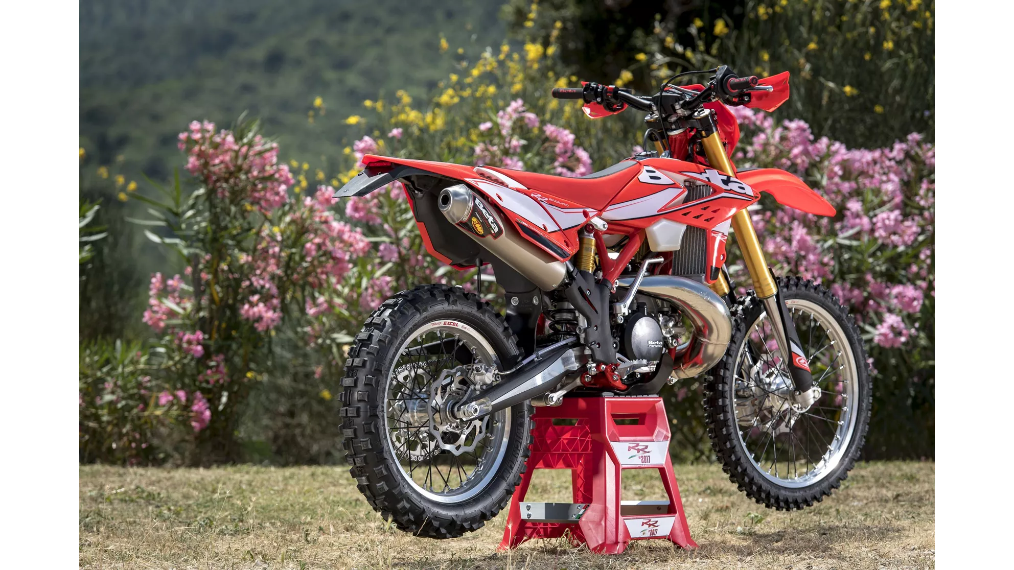 Beta RR 300 2T - Image 8 Beta RR 300 2T - Image 8