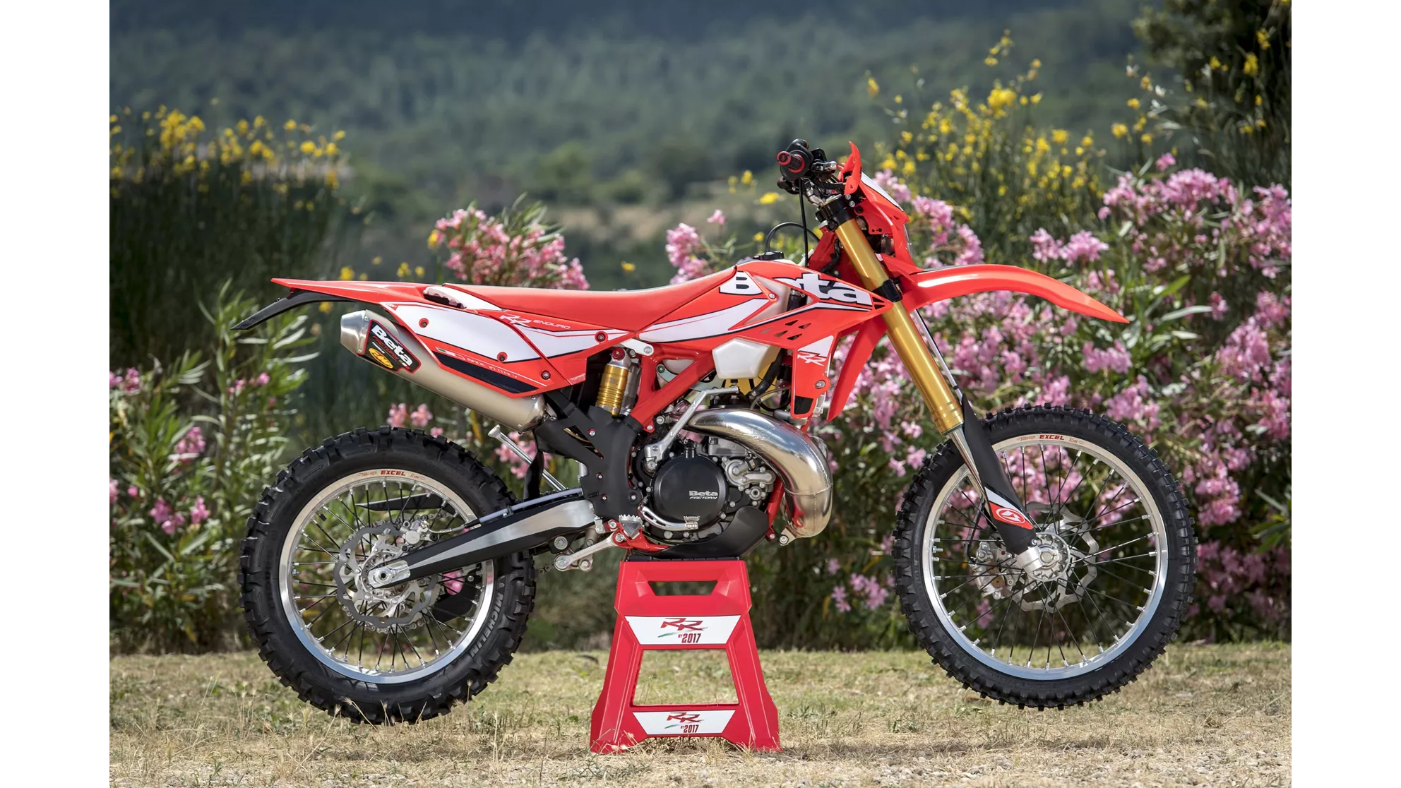 Beta RR 300 2T - Image 9 Beta RR 300 2T - Image 9