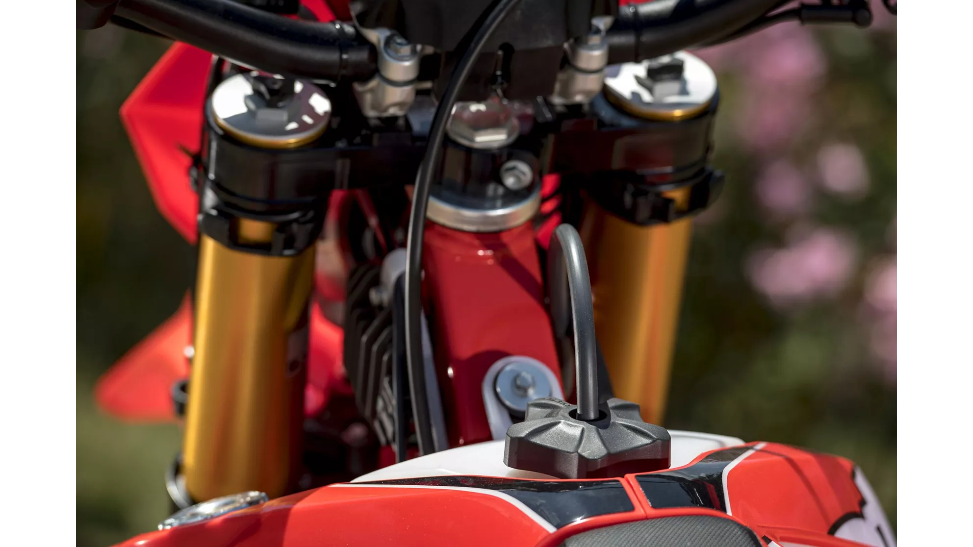 Beta RR 300 2T - Image 18 Beta RR 300 2T - Image 18