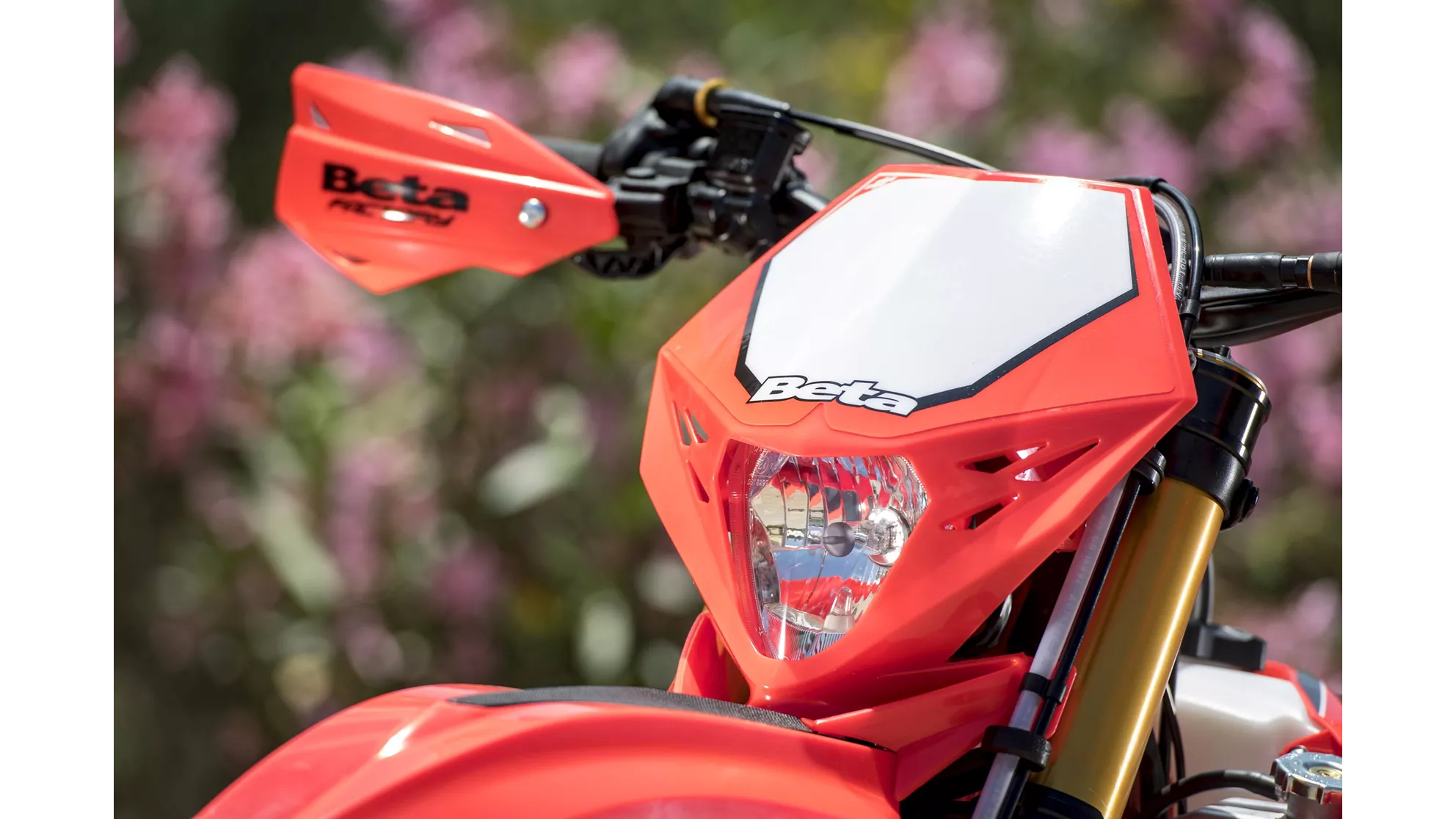 Beta RR 300 2T - Image 21 Beta RR 300 2T - Image 21