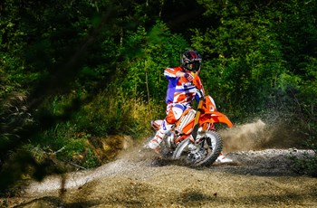 Beta RR 430 2017 - Bild 2