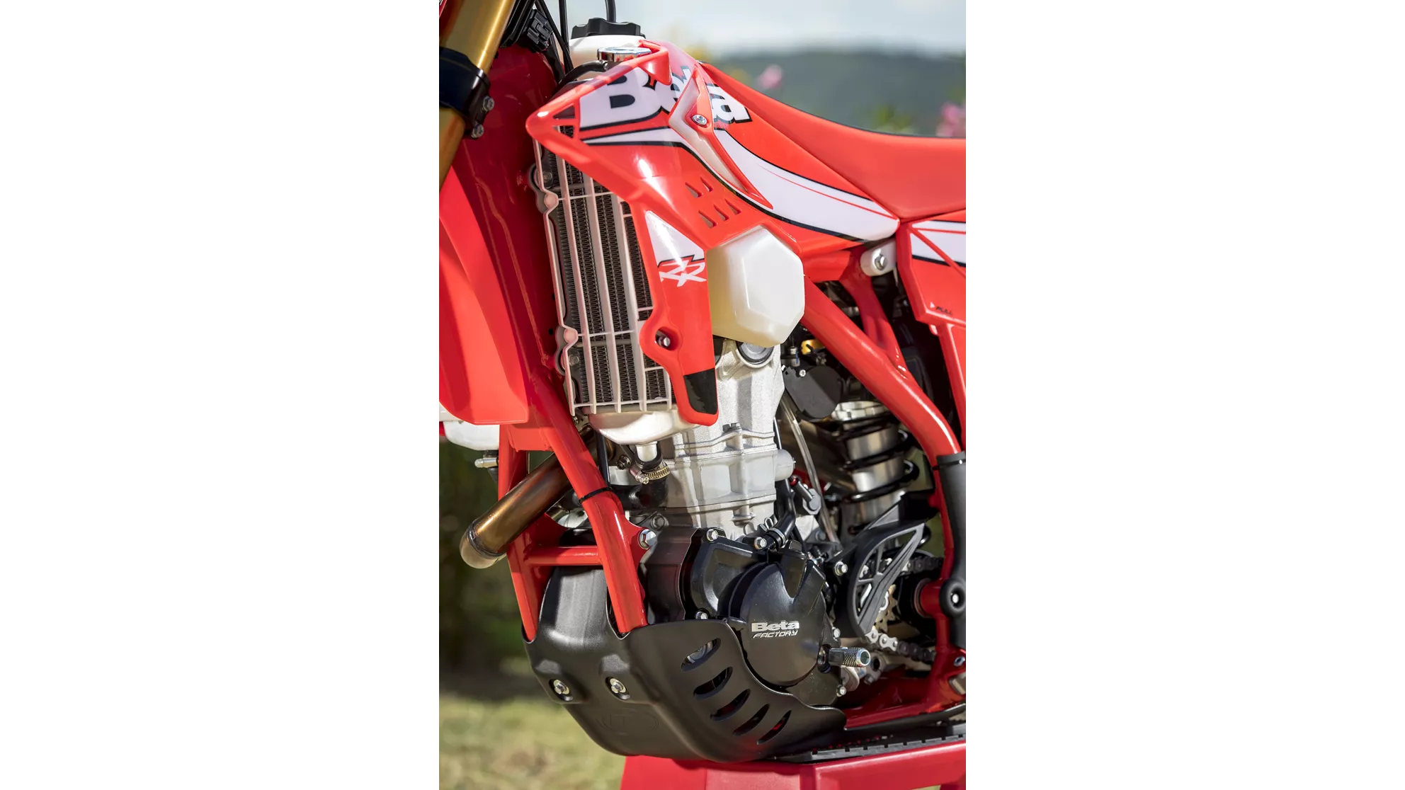 Beta RR 430 - Image 10 Beta RR 430 - Image 10