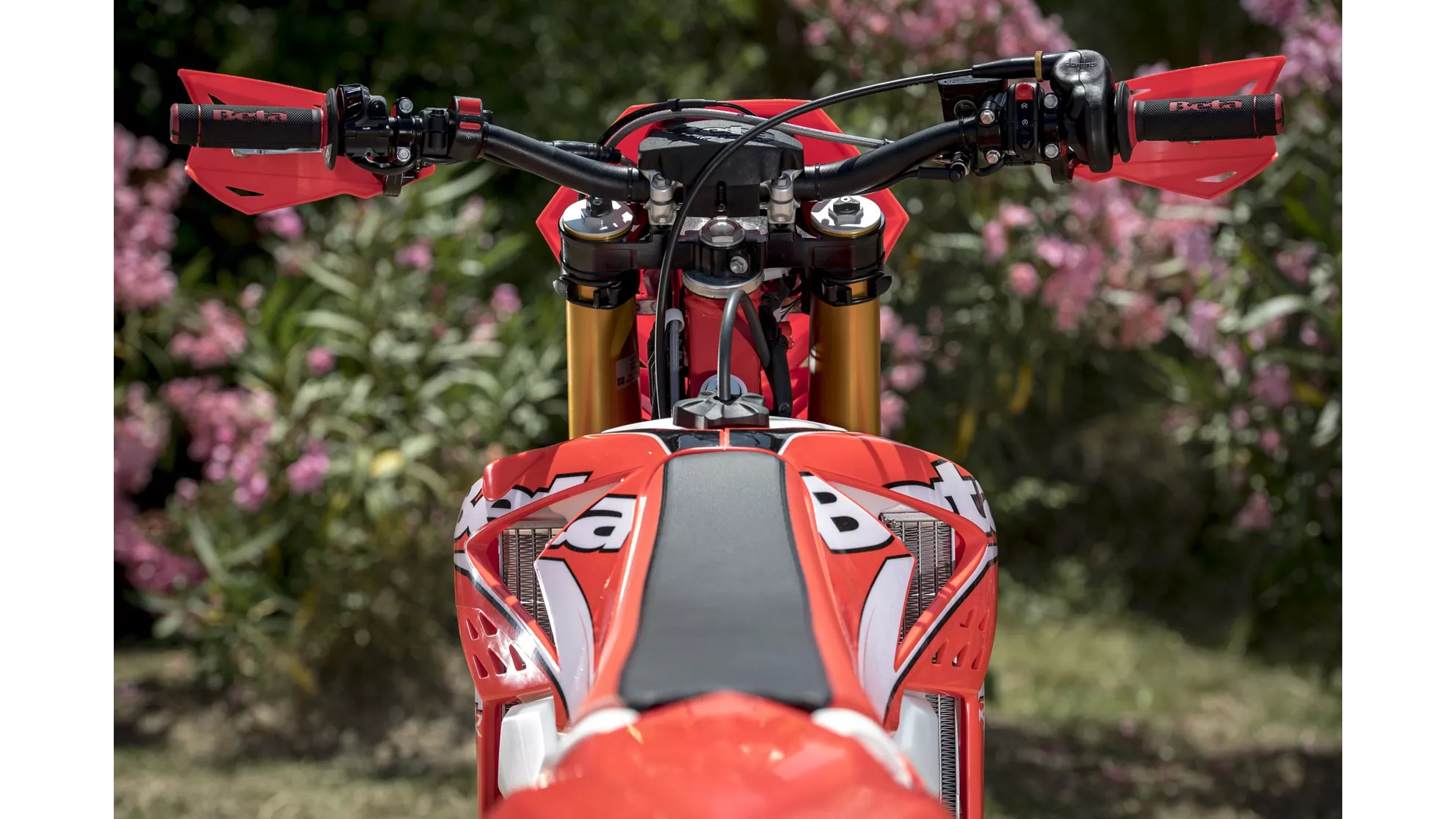 Beta RR 430 - Image 12 Beta RR 430 - Image 12