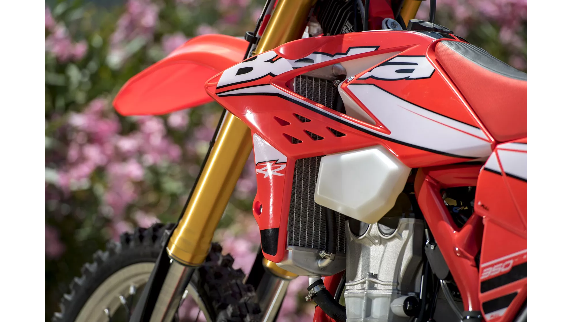 Beta RR 430 - Image 17 Beta RR 430 - Image 17