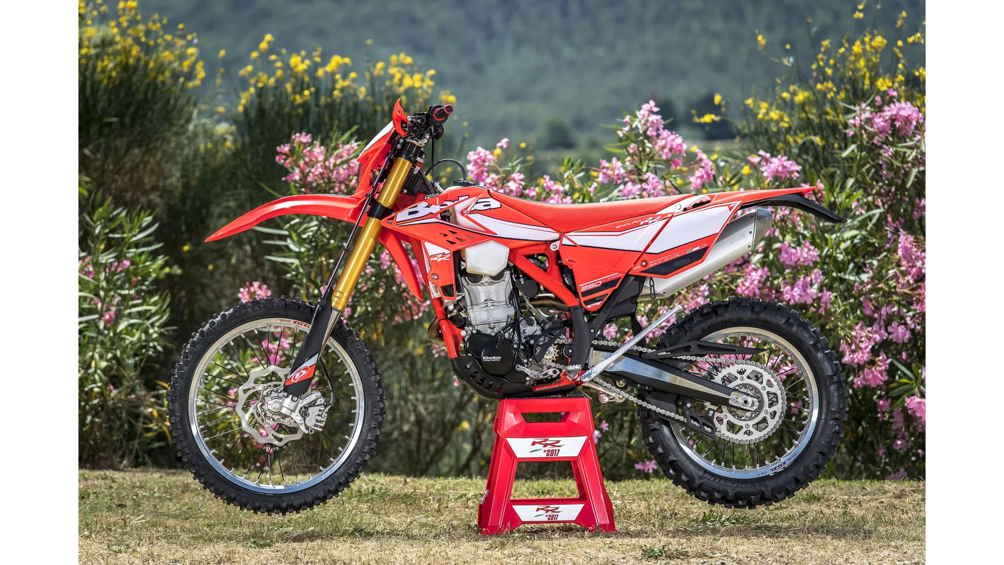 Beta RR 430 - Image 22 Beta RR 430 - Image 22