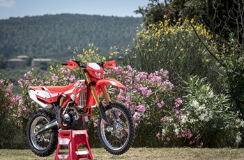 Beta RR 430 2017 - Bild 25