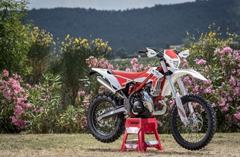 Beta Xtrainer 300 2017 - Bild 10 Beta Xtrainer 300 2017 - Bild 10