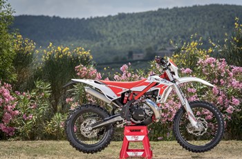 Beta Xtrainer 300 2017 - Bild 13 Beta Xtrainer 300 2017 - Bild 13