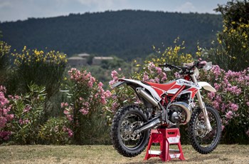 Beta Xtrainer 300 2017 - Bild 19 Beta Xtrainer 300 2017 - Bild 19