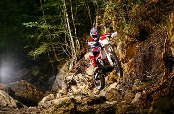 Beta Xtrainer 300 2017 - Bild 38 Beta Xtrainer 300 2017 - Bild 38
