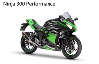 Kawasaki Ninja 300 2017 - Bild 5 Kawasaki Ninja 300 2017 - Bild 5