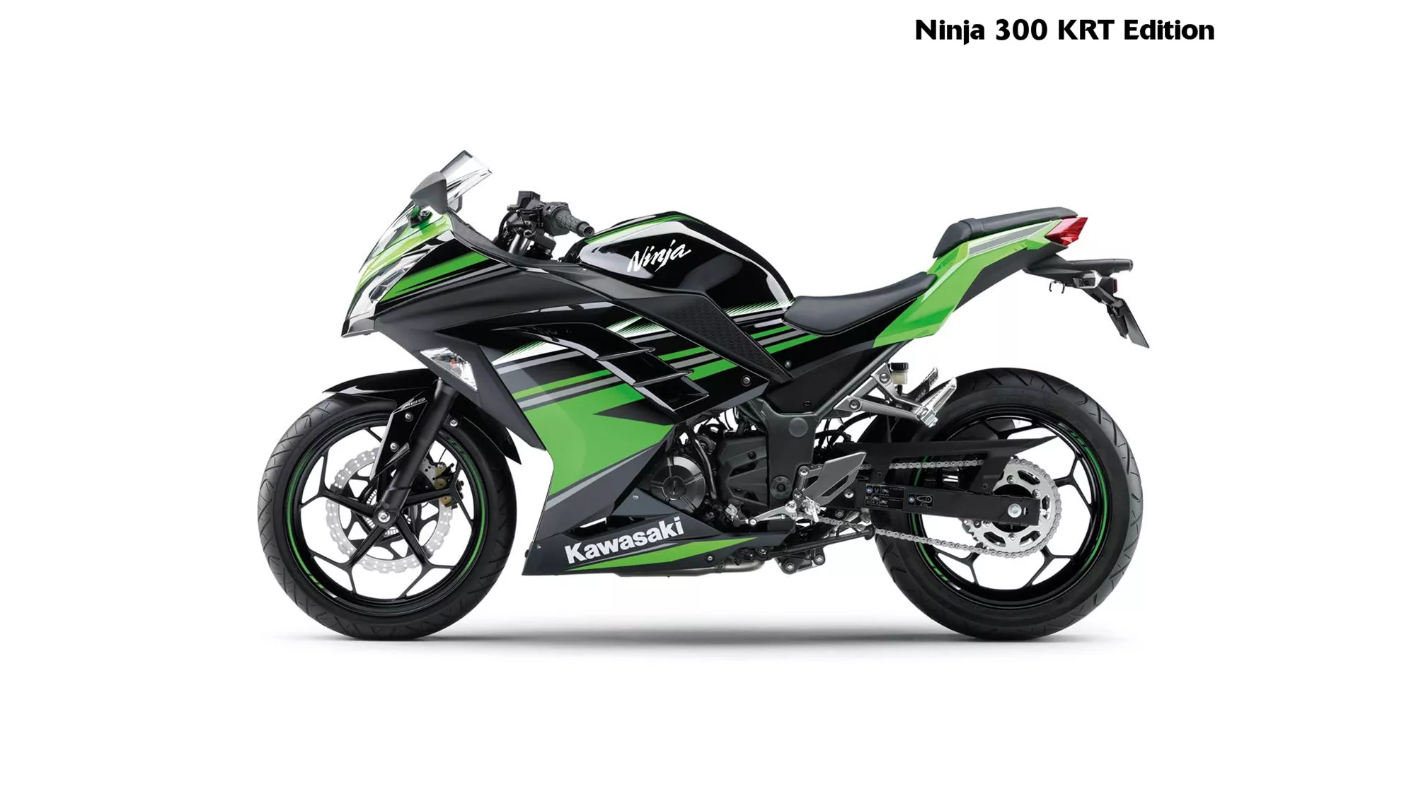 Kawasaki Ninja 300 - Immagine 5