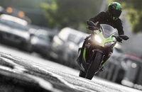 Kawasaki Ninja 300 2017 - Bild 15 Kawasaki Ninja 300 2017 - Bild 15