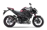 Kawasaki Z 800 e 2017 - Bild 5 Kawasaki Z 800 e 2017 - Bild 5