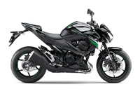 Kawasaki Z 800 e 2017 - Bild 11 Kawasaki Z 800 e 2017 - Bild 11