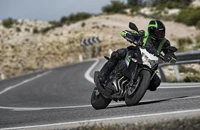 Kawasaki Z 800 e 2017 - Bild 16 Kawasaki Z 800 e 2017 - Bild 16