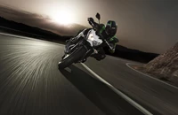 Kawasaki Z 800 e 2017 - Bild 25 Kawasaki Z 800 e 2017 - Bild 25