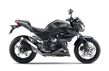 Kawasaki Z 300 2017 - Bild 5 Kawasaki Z 300 2017 - Bild 5