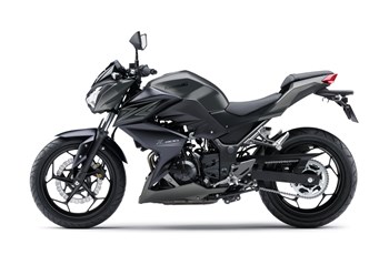 Kawasaki Z 300 2017 - Bild 7 Kawasaki Z 300 2017 - Bild 7