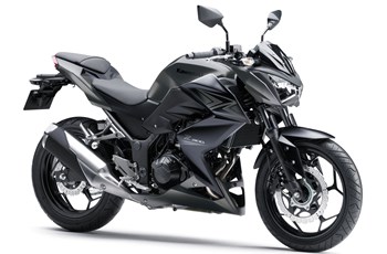 Kawasaki Z 300 2017 - Bild 8 Kawasaki Z 300 2017 - Bild 8