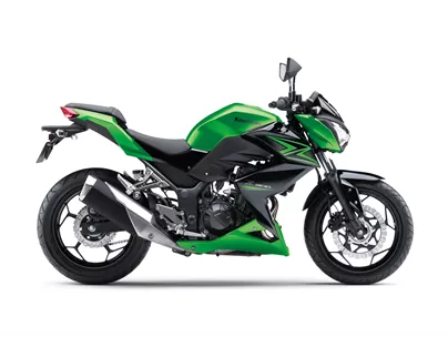 Kawasaki Z 300 2017 Kawasaki Z 300 2017
