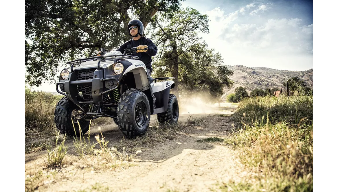 Kawasaki Brute Force 300 2017 Kawasaki Brute Force 300 2017