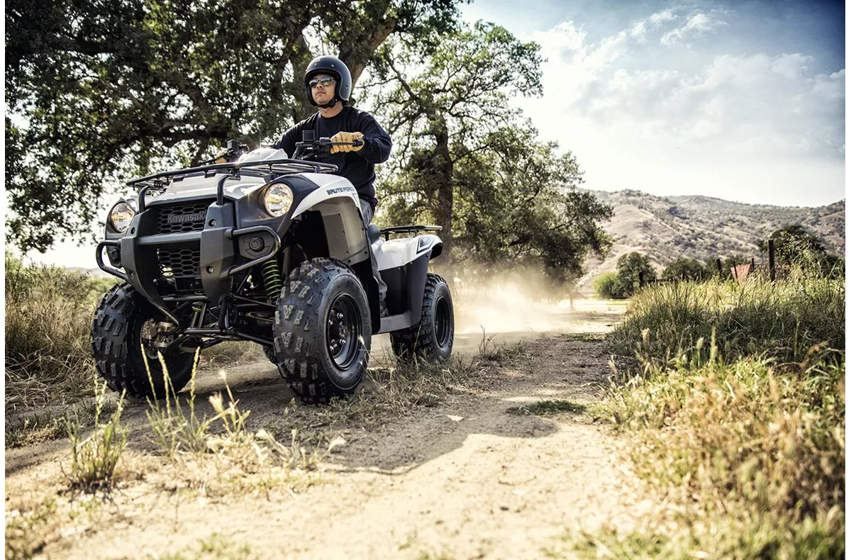 Kawasaki Brute Force 300 Kawasaki Brute Force 300