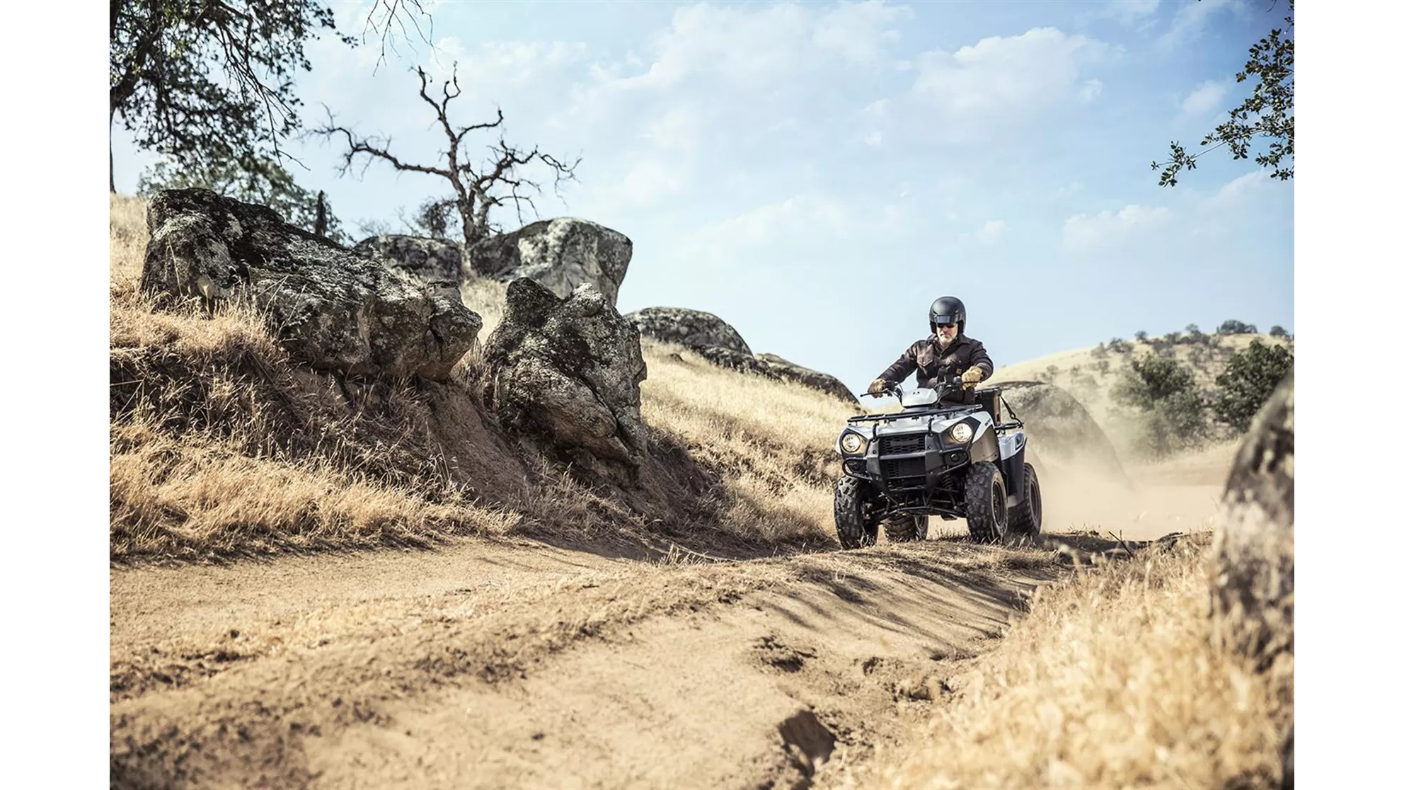 Kawasaki Brute Force 300 - Image 4 Kawasaki Brute Force 300 - Image 4