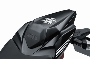 Kawasaki Ninja ZX-10RR 2017 - Bild 15 Kawasaki Ninja ZX-10RR 2017 - Bild 15