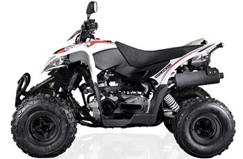 Aeon Cobra 400 2017 - Bild 3